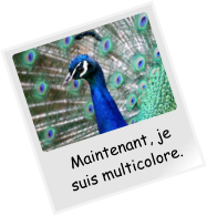 Maintenant, je suis multicolore.
