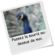 Passez la souris au-dessus de moi.